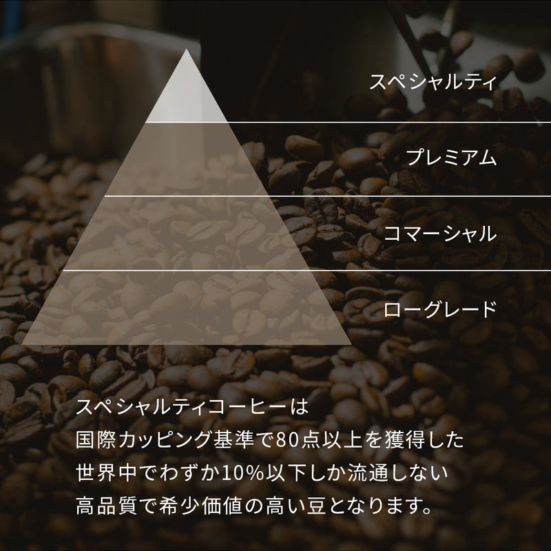 【定期便】ローコーヒー グリーンコーヒーブレンド(ドリップバッグ10個セット)